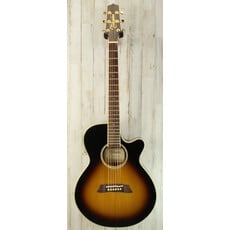 Takamine USED Takamine TSP138 (738)