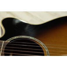Takamine USED Takamine TSP138 (738)