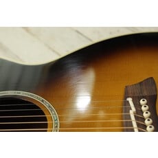 Takamine USED Takamine TSP138 (738)
