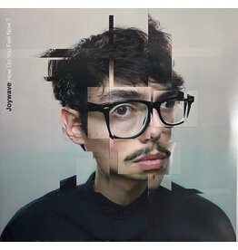 Vinyl NEW Joywave – How Do You Feel Now?-RSD