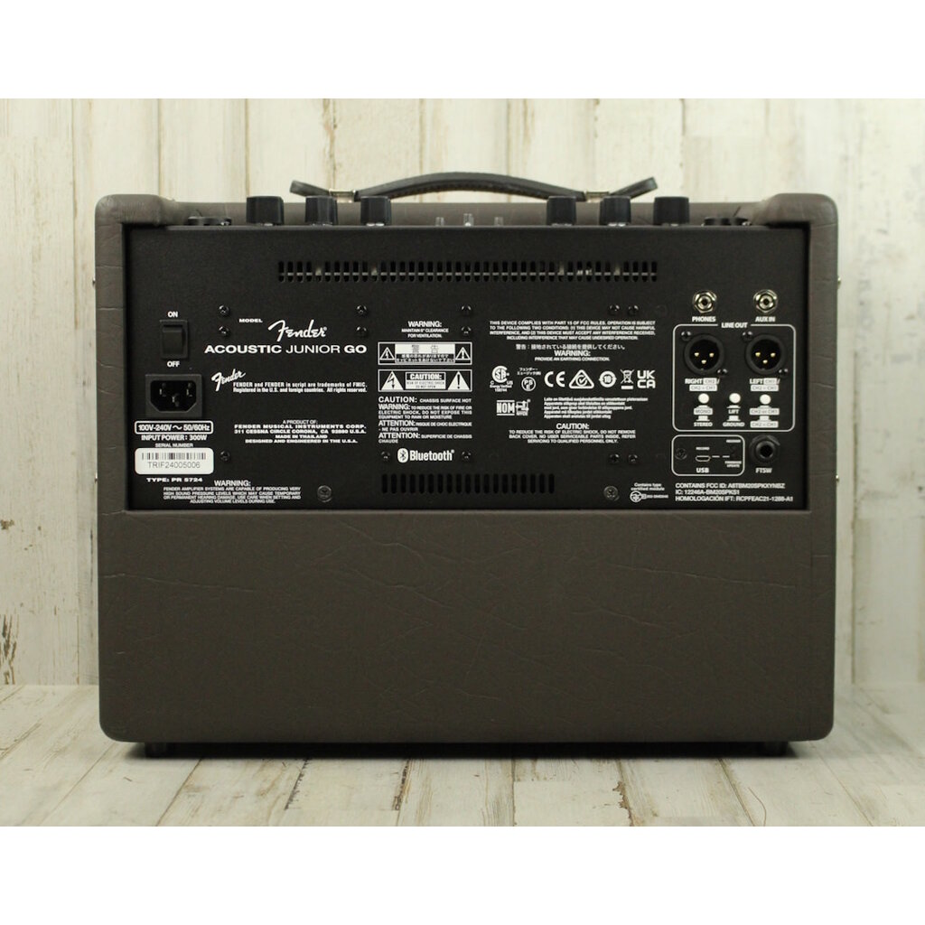 Fender DEMO Fender Acoustic JR GO (006)