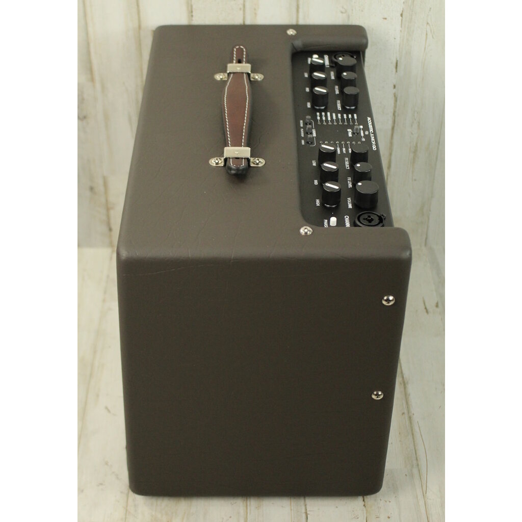 Fender DEMO Fender Acoustic JR GO (006)