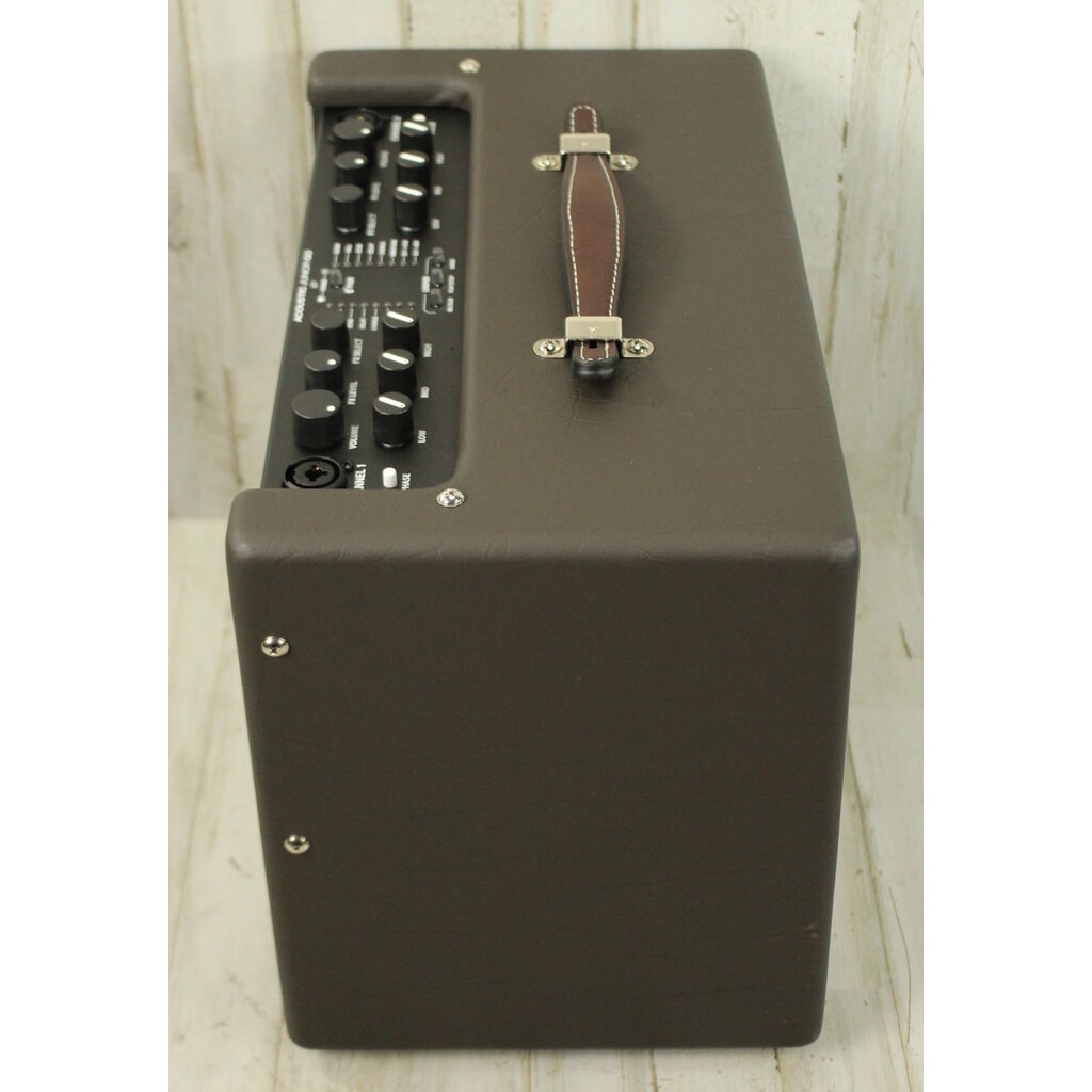 Fender DEMO Fender Acoustic JR GO (006)