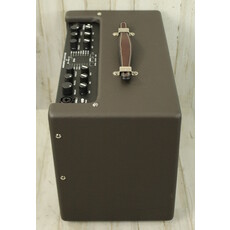 Fender DEMO Fender Acoustic JR GO (006)