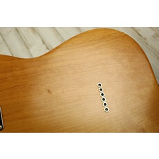 Partscaster USED Partscaster T Style (020)