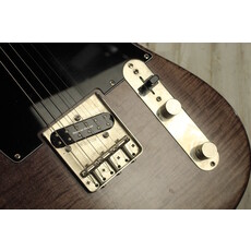 Partscaster USED Partscaster T Style (020)