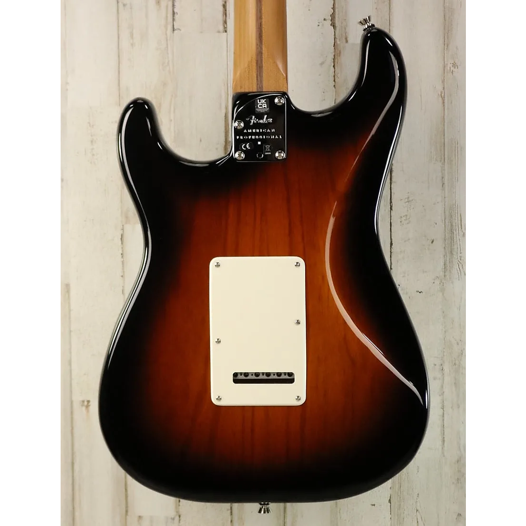 Fender USED Fender Dealer Exclusive American Professional II Stratocaster (450)