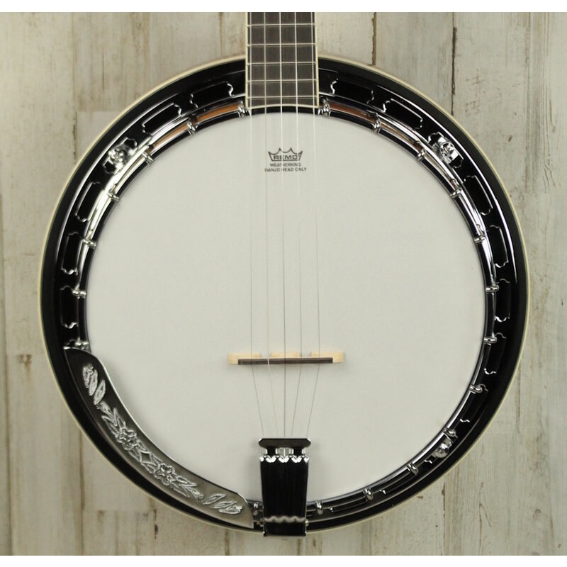 Ibanez DEMO Ibanez B200 5-String Banjo (958)