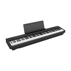 Roland DEMO Roland FP-30X Digital Piano w/ Speakers - Black (769)