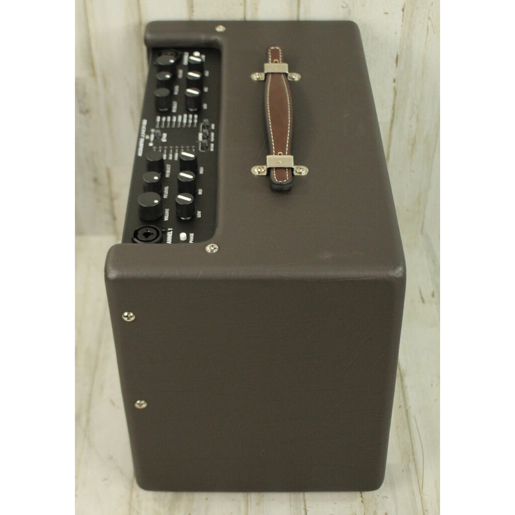 Fender DEMO Fender Acoustic Junior GO (477)