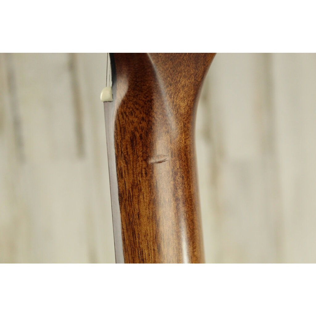 Ibanez USED Ibanez AE2912-LGS (914)