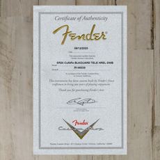 Fender NEW Fender CuNiFe Blackguard Bigsby Tele Heavy Relic - Dirty White Blonde (039)