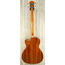 Fender USED Fender FA-450CE (678)