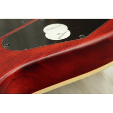 EVH USED EVH Wolfgang WG Standard Exotic (357)