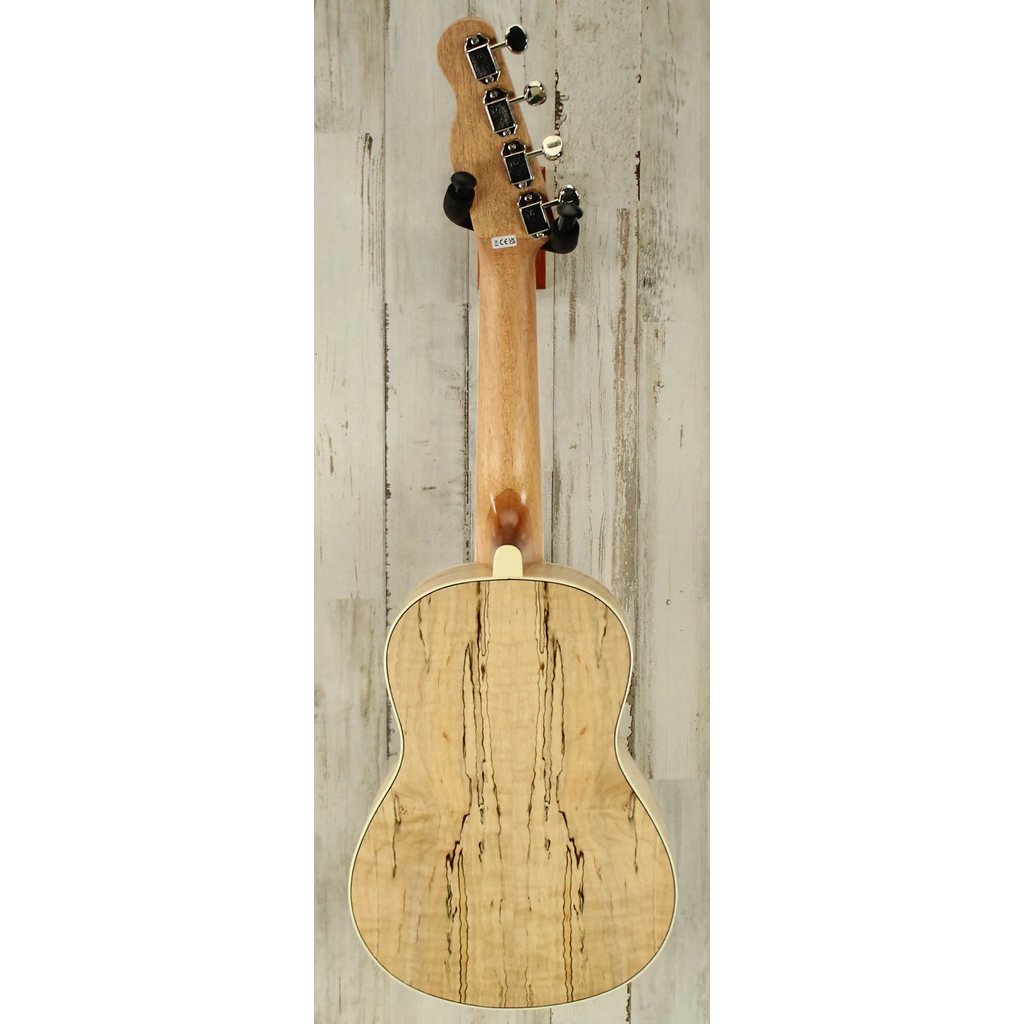 Fender DEMO Fender Zuma Exotic Concert Ukulele - Spalted Maple (558)