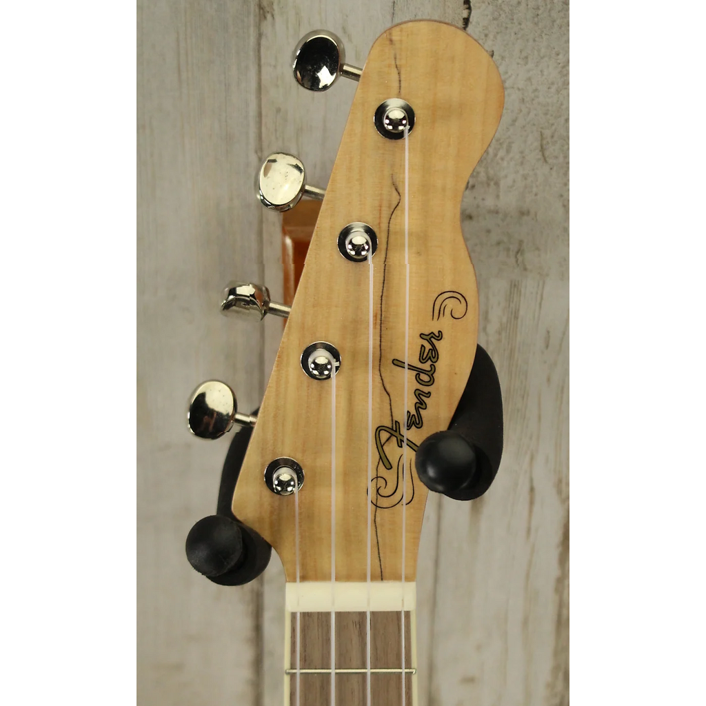 Fender DEMO Fender Zuma Exotic Concert Ukulele - Spalted Maple (558)