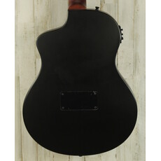 Ortega USED Ortega Tour Player Standard Nylon (178)