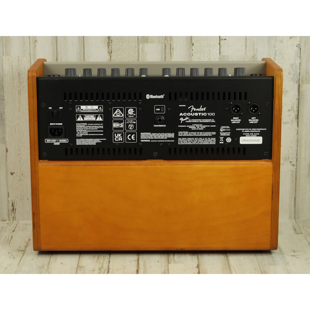 Fender USED Fender Acoustic 100 (026)