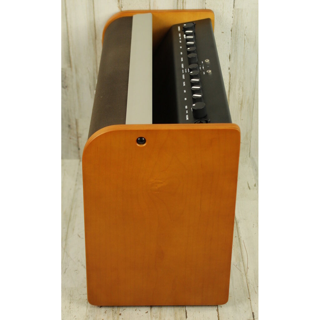 Fender USED Fender Acoustic 100 (026)