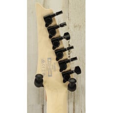 Ibanez DEMO Ibanez Standard RG460DX - Blue Haze (777)