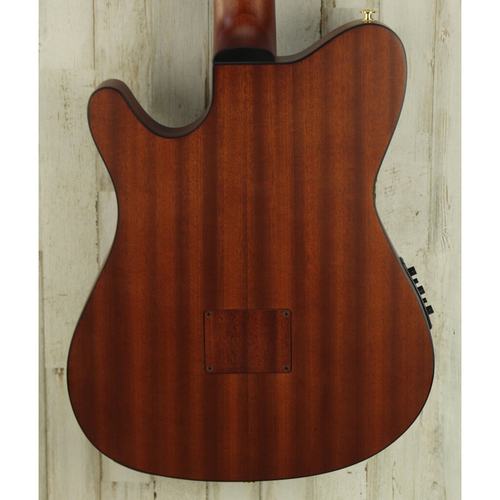 Ibanez DEMO Ibanez FRH10N Thinline Nylon - Brown Sunburst (882)