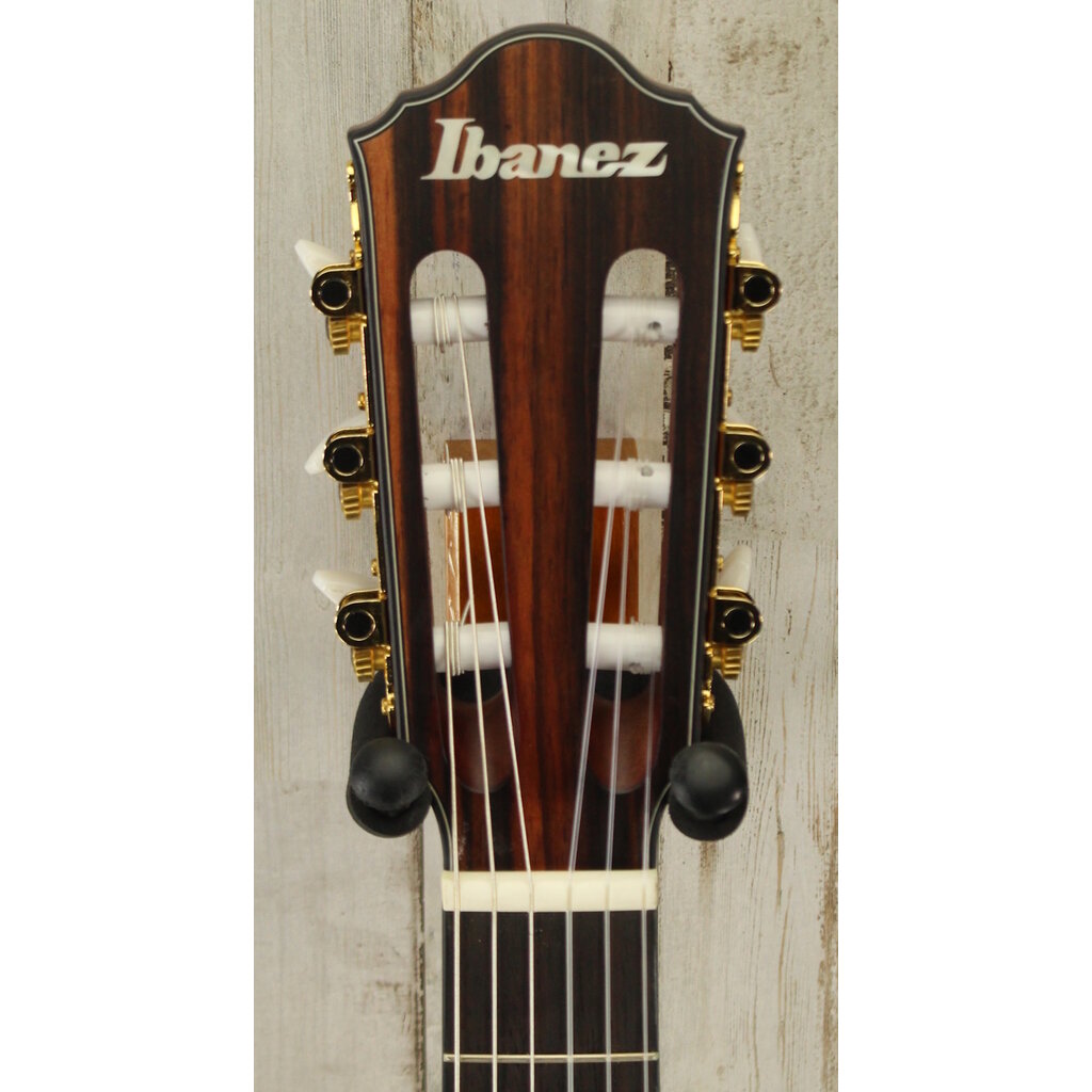 Ibanez DEMO Ibanez FRH10N Thinline Nylon - Brown Sunburst (882)