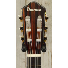 Ibanez DEMO Ibanez FRH10N Thinline Nylon - Brown Sunburst (882)