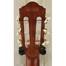 Ibanez DEMO Ibanez FRH10N Thinline Nylon - Brown Sunburst (882)