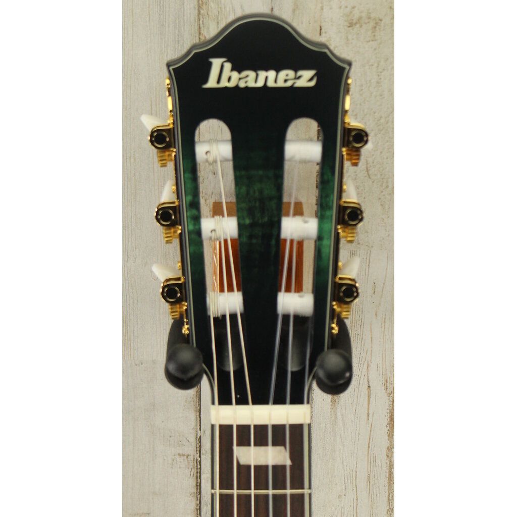 Ibanez DEMO Ibanez FRH20 Thinline Nylon - Dark Emerald Green Low Gloss (915)