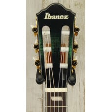 Ibanez DEMO Ibanez FRH20 Thinline Nylon - Dark Emerald Green Low Gloss (915)