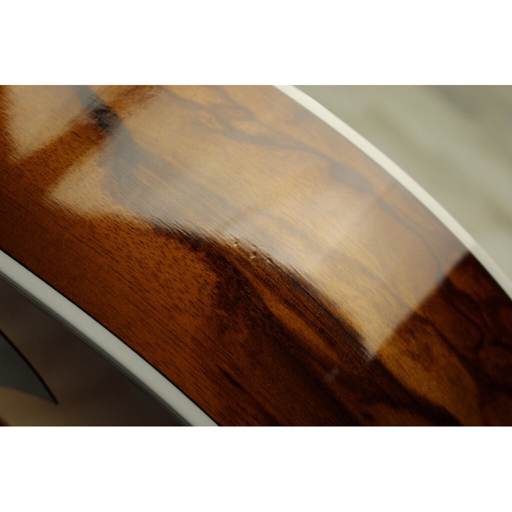 Taylor USED Taylor 214ce Plus Special Edition (369)