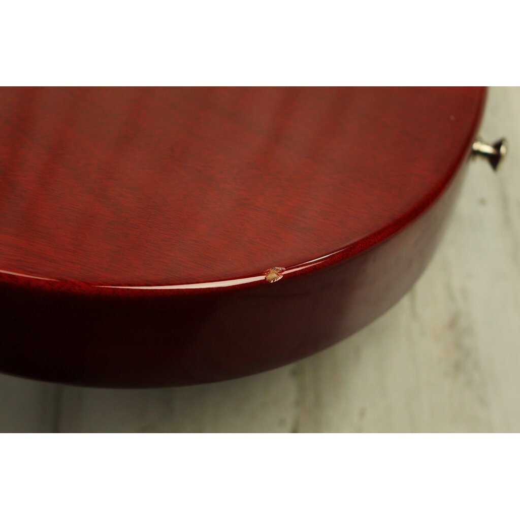 Gibson USED 2024 Gibson Les Paul Special (355)