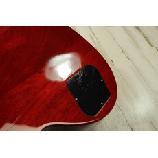 Gibson USED 2024 Gibson Les Paul Special (355)