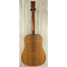 Martin USED Martin D-X2E (938)