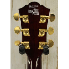 Washburn USED Washburn WI-64-DL (352)