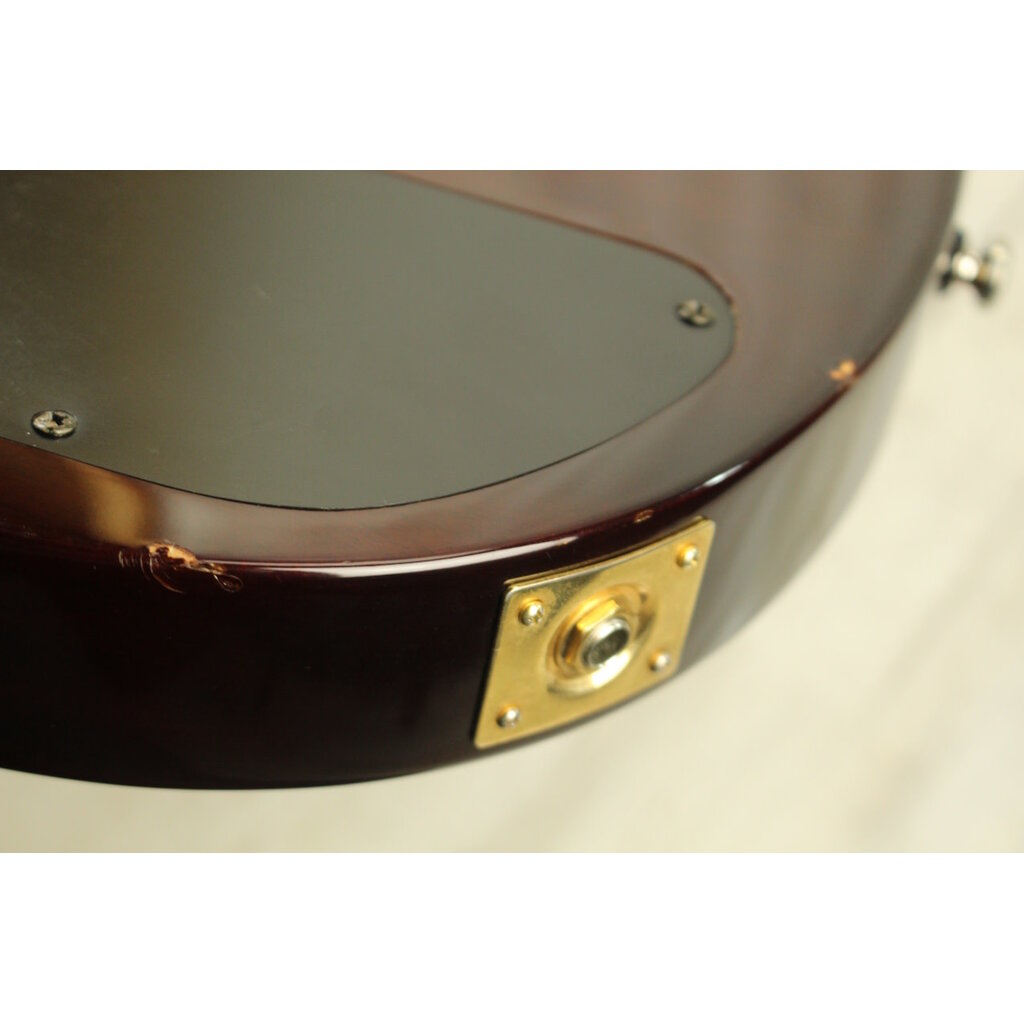 Washburn USED Washburn WI-64-DL (352)