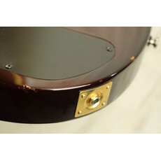 Washburn USED Washburn WI-64-DL (352)