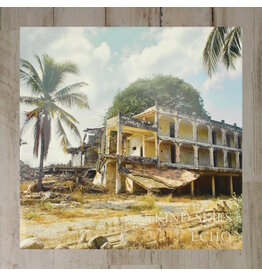 Local Music NEW Kind Skies - Echo (LP)