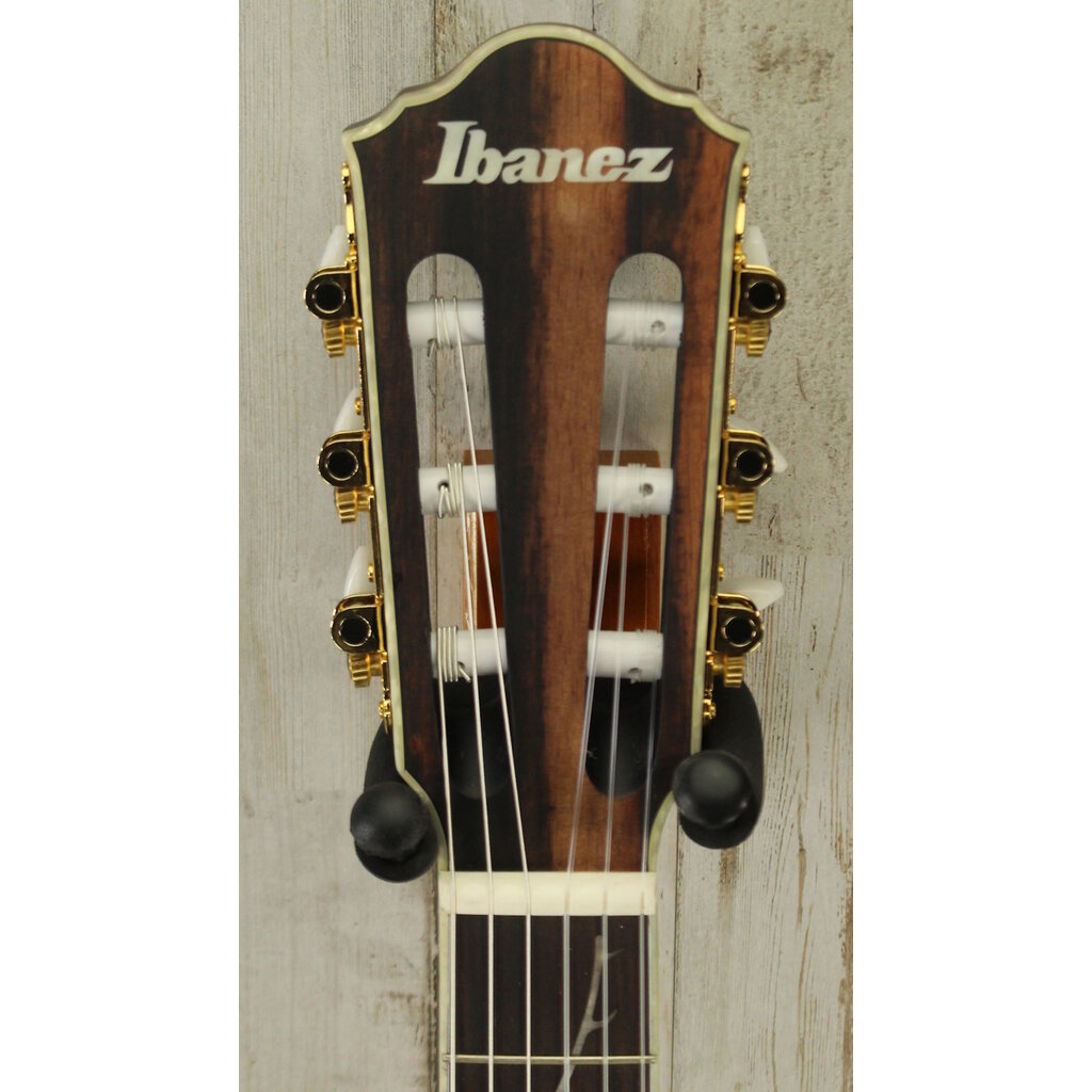 Ibanez DEMO Ibanez TOD10N Tim Henson Signature Nylon - Black (851)