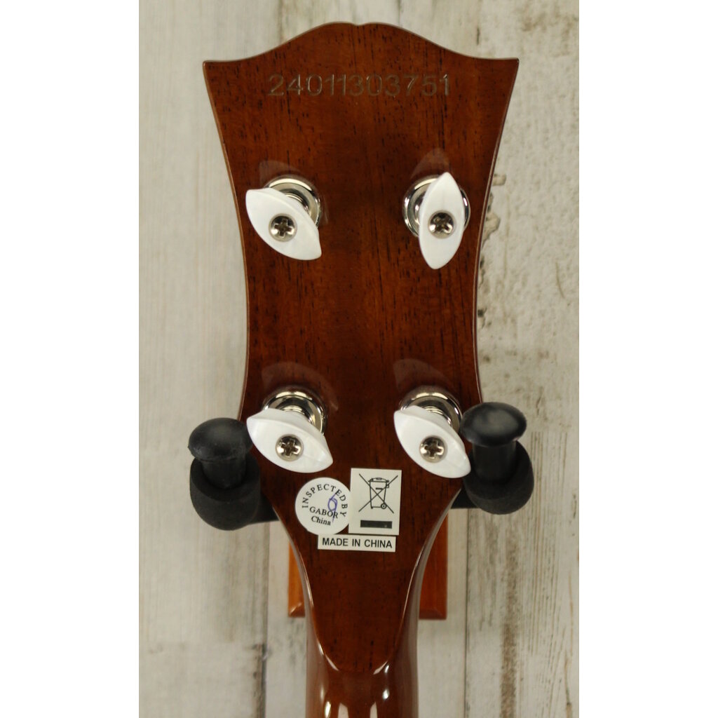 Epiphone DEMO Epiphone Mastertone Bowtie Open-Back Banjo (751)