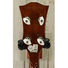 Epiphone DEMO Epiphone Mastertone Bowtie Open-Back Banjo (751)
