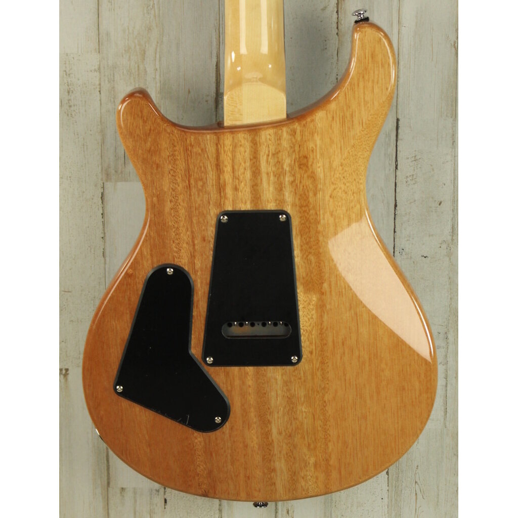 Paul Reed Smith USED Paul Reed Smith SE Custom 24 (664)