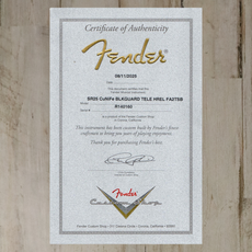 Fender NEW Fender Custom Shop CuNiFe Blackguard Bigsby Telecaster - Faded Aged 2-Color Sunburst (160)