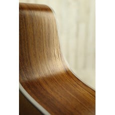 Taylor PROJECT Taylor 214ce-K (096)