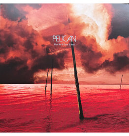 Vinyl NEW Pelican– What We All Come To Need / Ephemeral-RSD