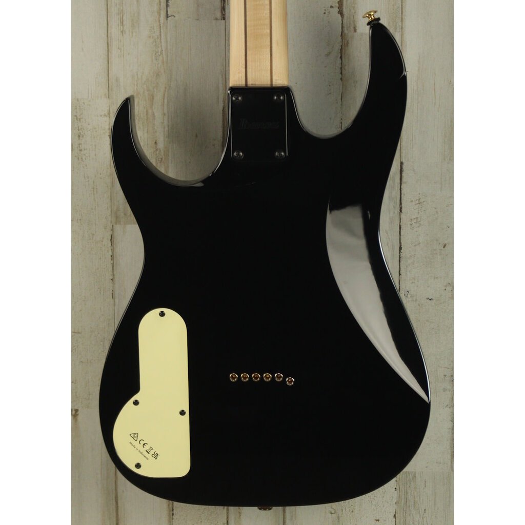 Ibanez USED Ibanez Paul Gilbert PGM50 (298)