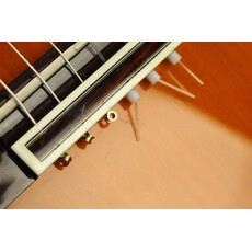 Alvarez USED Alvarez AC60S (021)