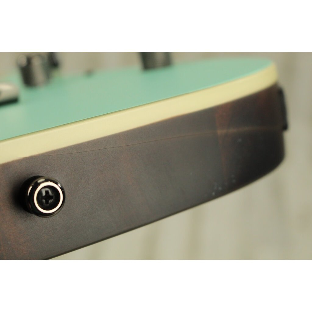 Ibanez USED Ibanez RG421S (728)