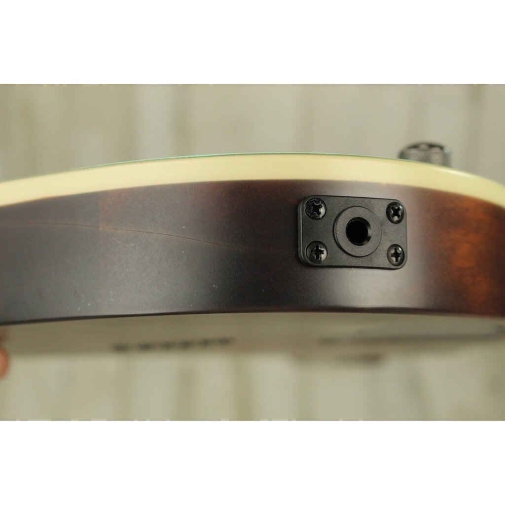 Ibanez USED Ibanez RG421S (728)