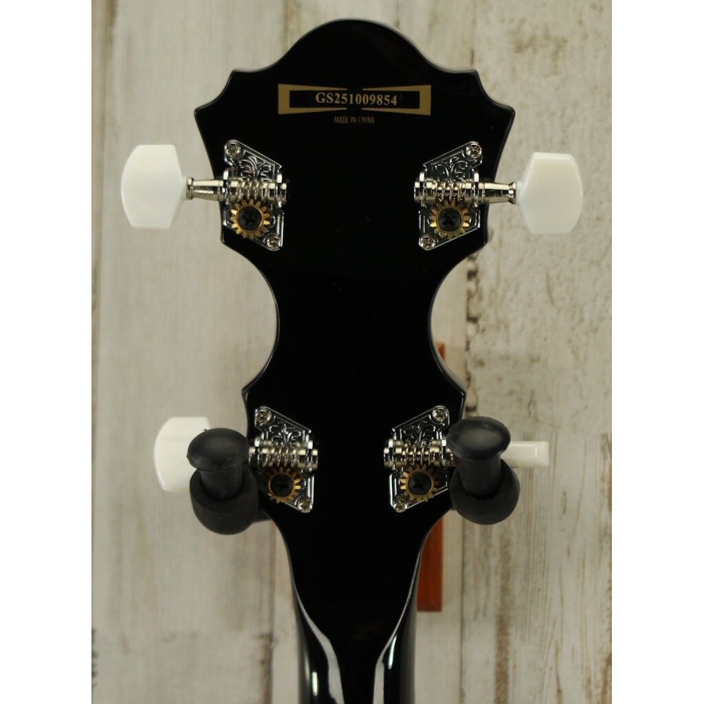 Ibanez DEMO Ibanez B50 Banjo - Natural Gloss (854)